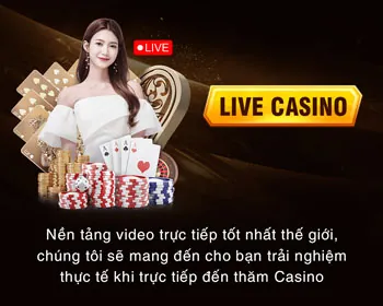 Hình ảnh minh họa Điều khoản & Điều kiện 333 vin